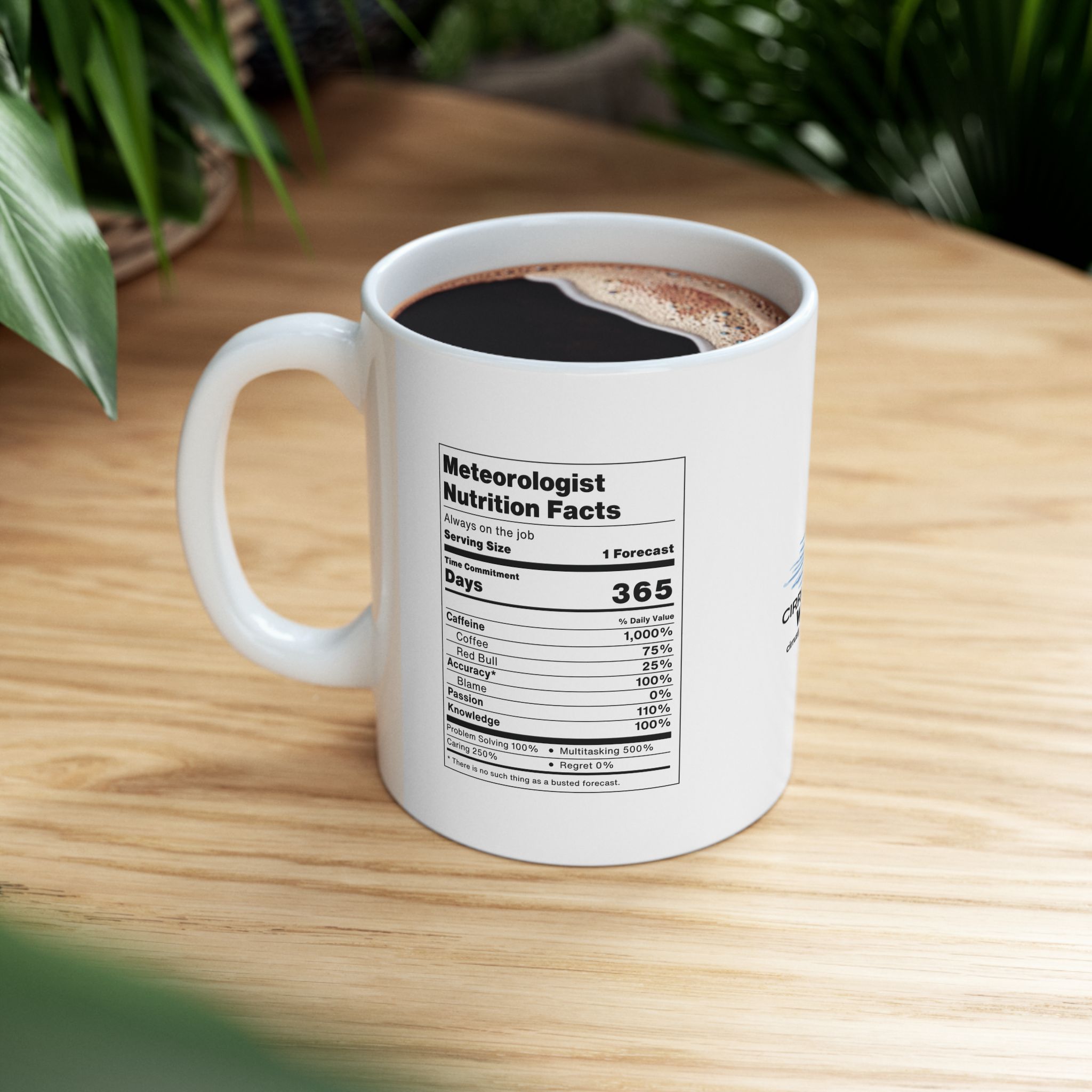 Meteorologist Nutrition Facts Mug - Ceramic, White - Image 1