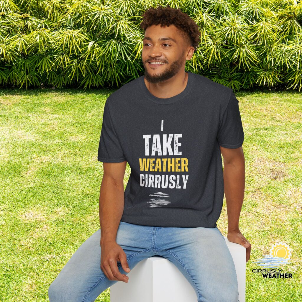 I Take Weather Cirrusly Unisex T-Shirt (Softstyle), Heather Grey