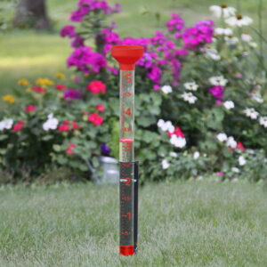 Taylor Jumbo Jr Rain Gauge - Image 2