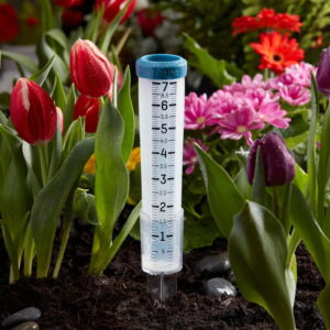 Taylor 7-Inch Capacity Silicone Rain Gauge - Image 2