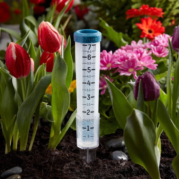 Taylor 7-Inch Capacity Silicone Rain Gauge - Image 2