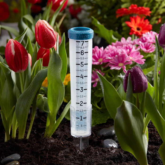 Taylor 7-Inch Capacity Silicone Rain Gauge - Image 2