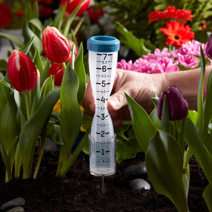 Taylor 7-Inch Capacity Silicone Rain Gauge - Image 3