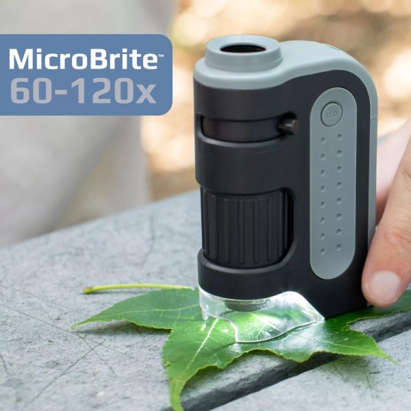 Carson Microbrite Plus MM-300 Kids Pocket Microscope