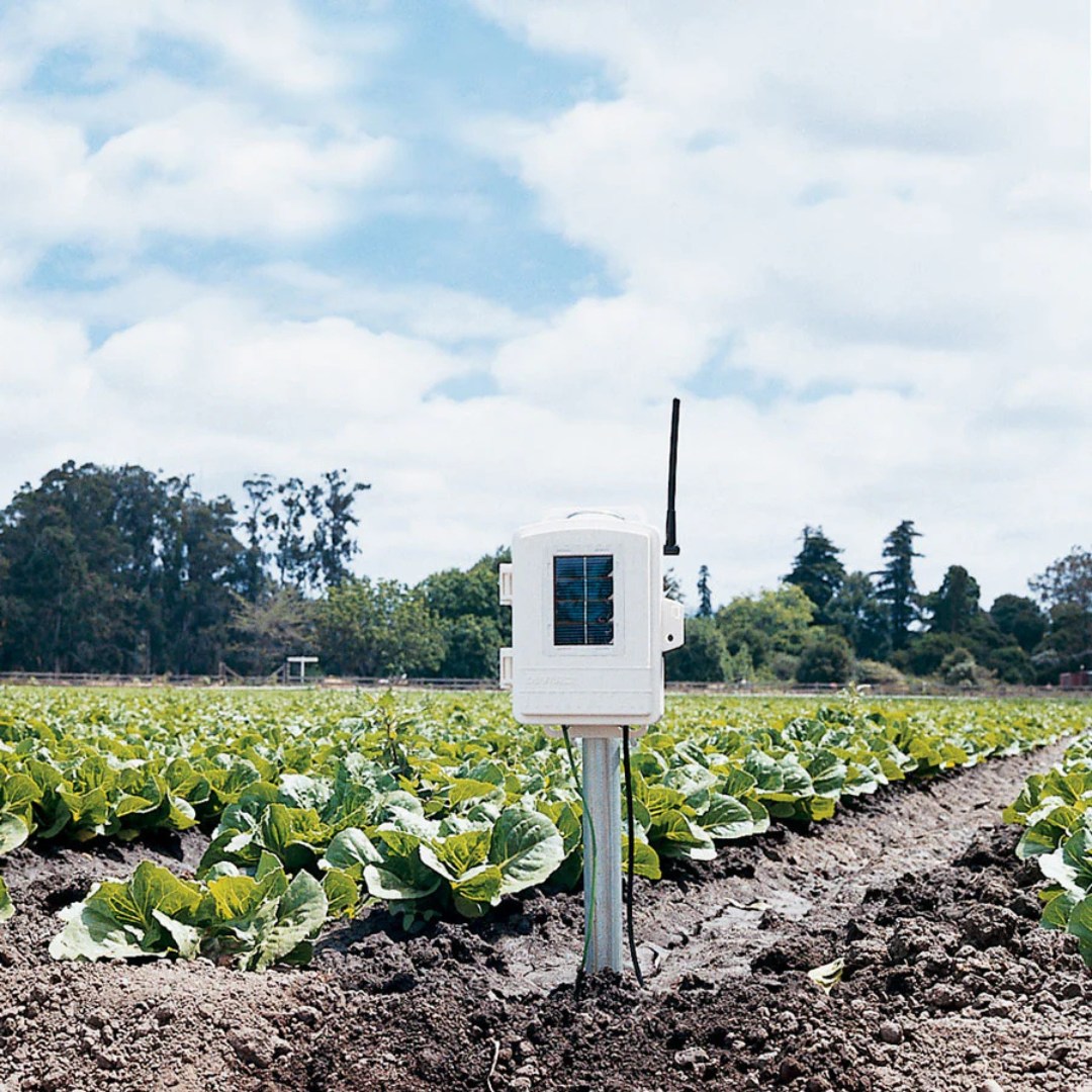 Davis Wireless Leaf, Soil Moisture and Temperature Station (6345)