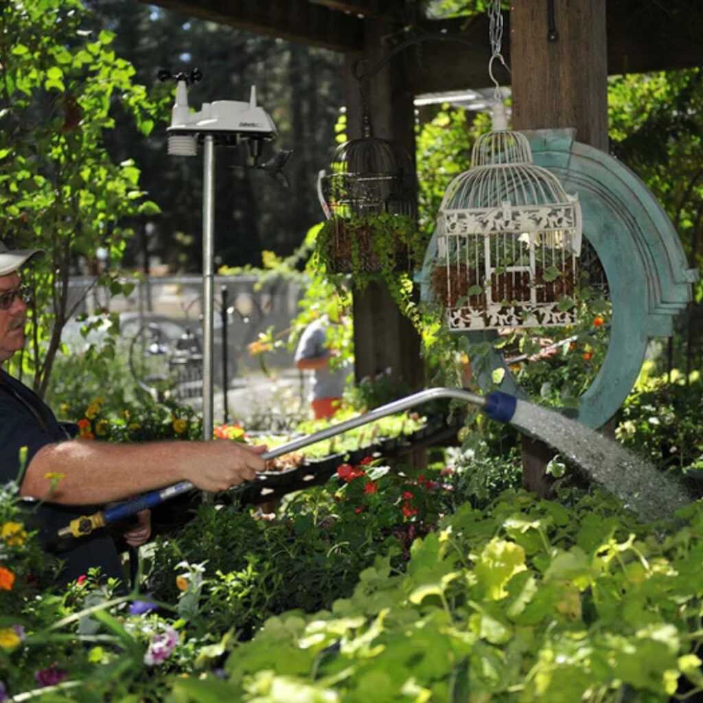 Davis Vantage Vue on Davis Mouning Pole Kit in a garden