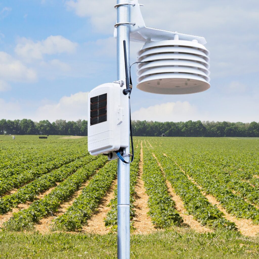 Davis Temperature Humidity Sensor with 24-Hour Fan Aspirated Radiation Shield (6832)