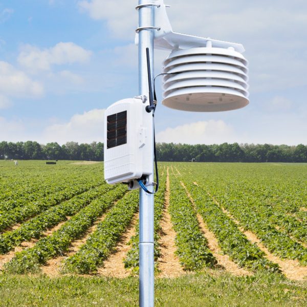 Davis Temperature Humidity Sensor with 24-Hour Fan Aspirated Radiation Shield (6832)