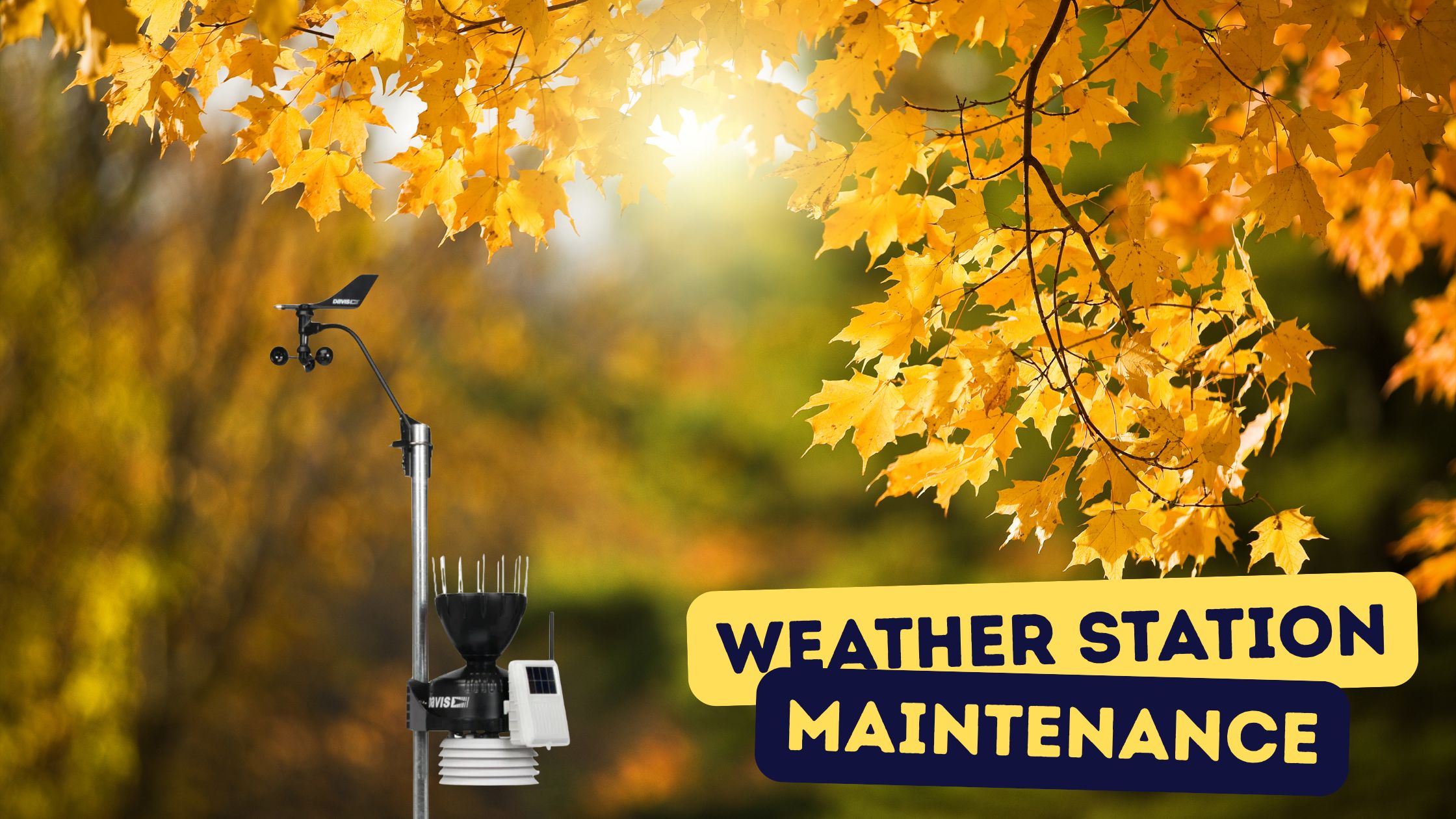 Why Fall is the Time for Weather Station Maintenance