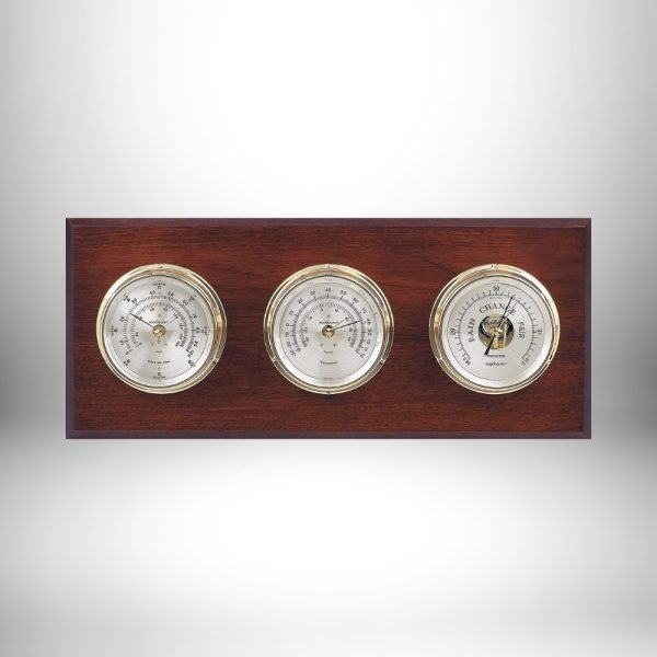 Maximum Montauk Weather Station (Analog)