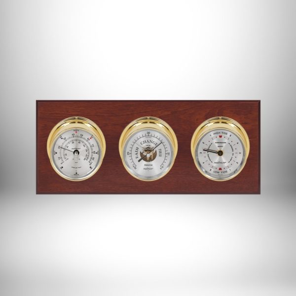 Maximum Newport Weather Station (Analog)