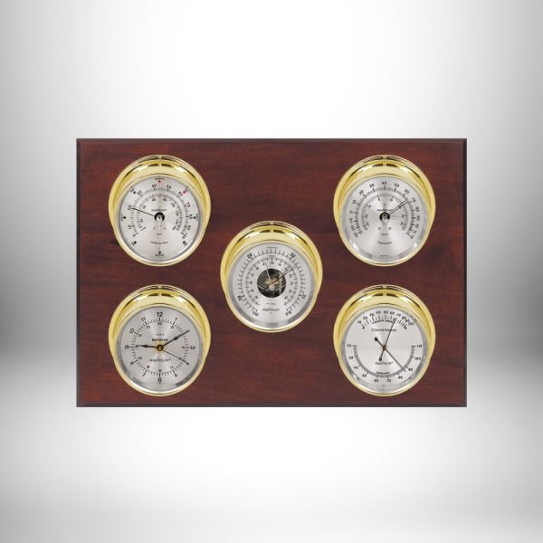 Maximum Professional Weather Station (Analog)