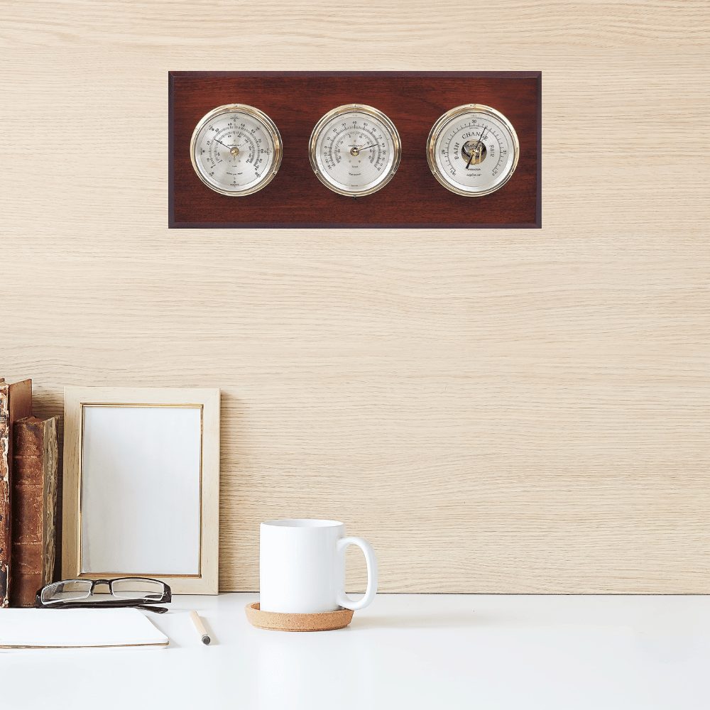 Maximum Montauk Weather Station (Analog)