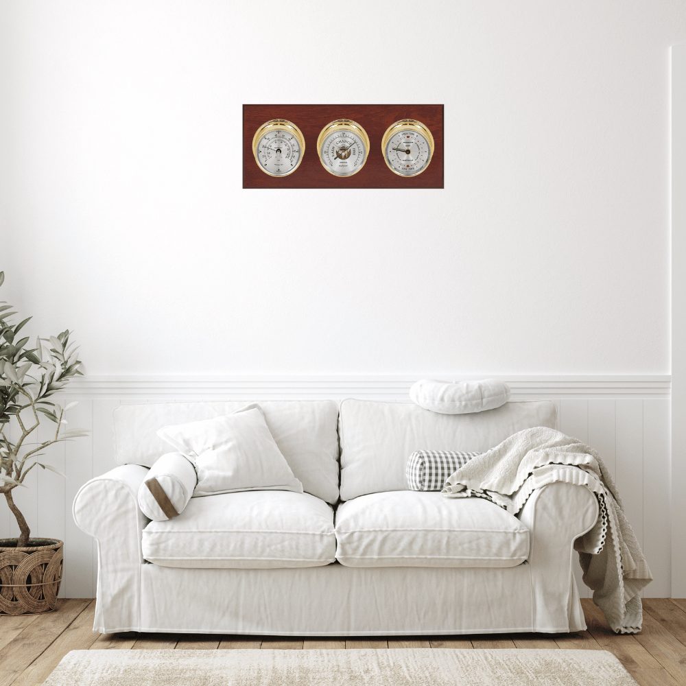 Maximum Newport Weather Station (Analog)