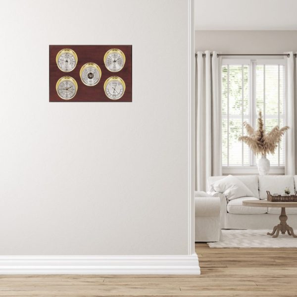 Maximum Professional Weather Station (Analog)