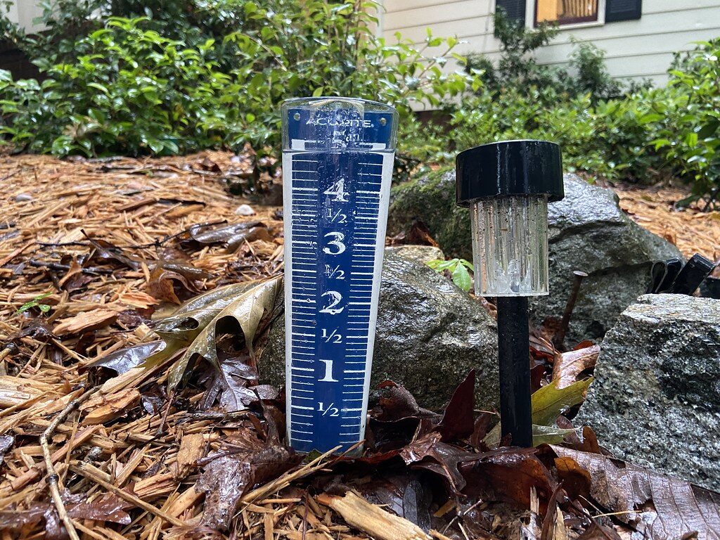 rain gauge