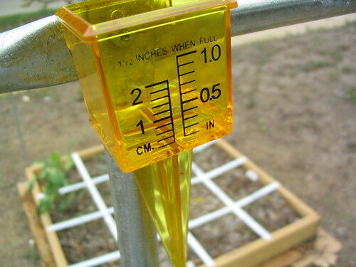 Weather App or Rain Gauge? Why Direct Measurement Still Wins